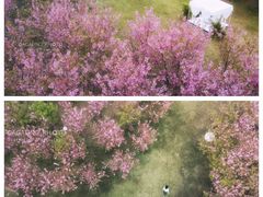 -福建鲤鱼洲酒店