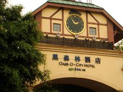 DSC08753-深圳东部华侨城茵特拉根酒店