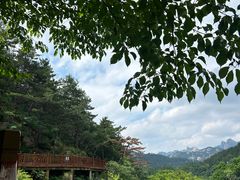 -崂山九水游览区