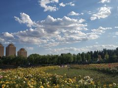 -廊坊文化艺术中心