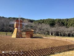 -苏州上方山国家森林公园