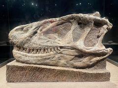 -自贡恐龙博物馆