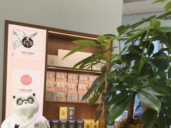 -长风拨筋养身(金虹桥店)