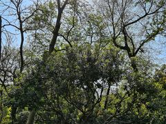 -常州古运河南大街文化旅游区-人民公园
