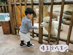 -杭州开元森泊度假乐园