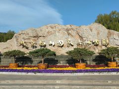 -北京西山国家森林公园