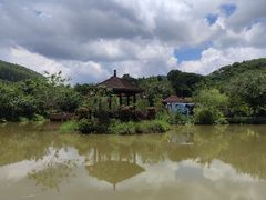 -林丰温泉度假山庄