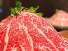 -辣伍鲜毛肚老火锅(元一店)