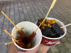 -黑色经典臭豆腐·湖南特产(坡子街店)