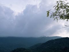 -鹿嘴山庄