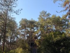 -梦姑塘文化公园