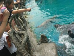 -华夏文旅海洋公园