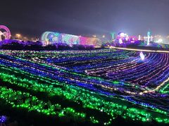 -大塘金香草谷