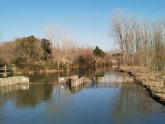 -溱湖国家湿地公园