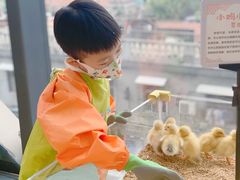 -怪兽屋·羊驼·猫咖·狗咖(俊华广场店)