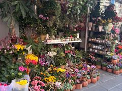 -溪岸路花鸟市场