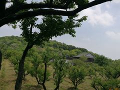 -太湖好灶头土菜馆(石公路店)