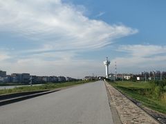 -芦潮港集贸市场