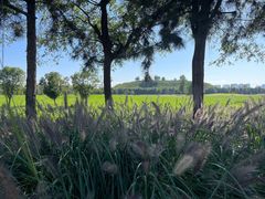 -汉长安城未央宫国家考古遗址公园