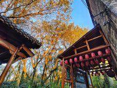 -西溪南古村落景区