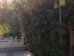 -燕郊植物园