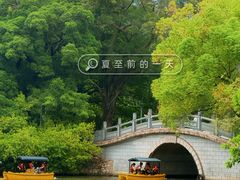-荔湾湖公园