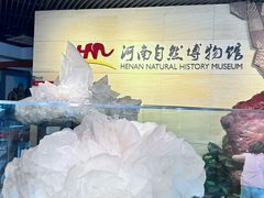 -河南自然博物馆
