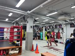 -TFC 纯泰拳馆MuayThai