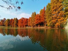 -上海海湾国家森林公园