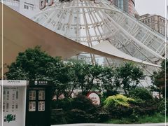 -南京时尚莱迪购物广场(正洪街店)