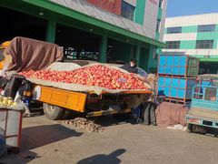 -何庄子阿米玛玛农产品批发市场