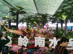 -万顷园艺世界