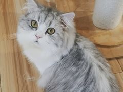 -听TA说宠咖·宠物生活馆(天韵水岸店)