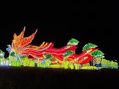 -十六蒲(桂林路店)