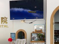 -丹景宠物医院·全科·老年病·牙科(武昌诊疗中心)