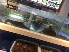 水产区-青岛美食鲁菜大酒店