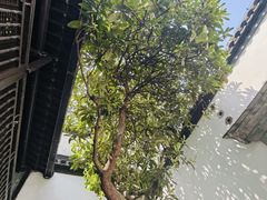 -南京市民俗博物馆(甘熙故居)
