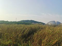 -金孔雀温泉旅游度假村