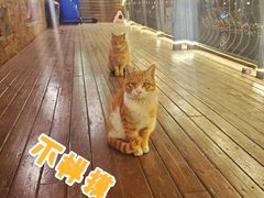 -牛焱·烧肉酒肆(五大道店)