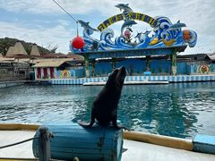 -海南分界洲岛旅游区