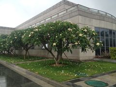 -厦门国家会计学院