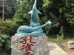 -深圳国际园林花卉博览园