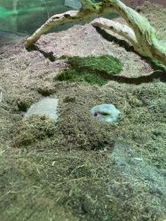 -Zoolung Zoolung动物主题公园(海信广场店)