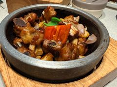 -大鸽饭(动物园店)