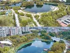 -新江湾城公园