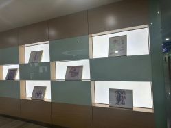 -重庆联合丽格美容医院