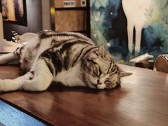 -咖法森林·咖啡  酒吧(天河店)