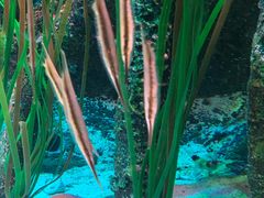 -沈阳海洋探索中心