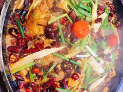 -老板恋上鱼(恒隆广场店)