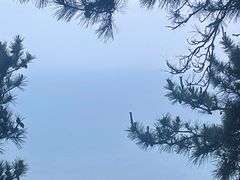 -青岛崂山太清宫